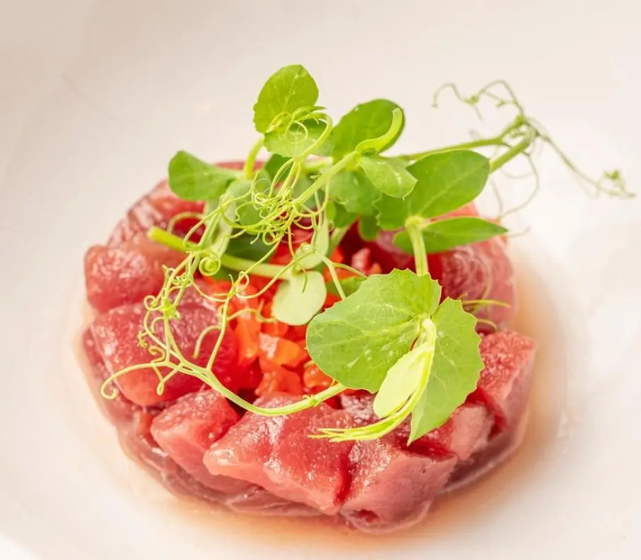 Tartare di tonno con germogli freschi
